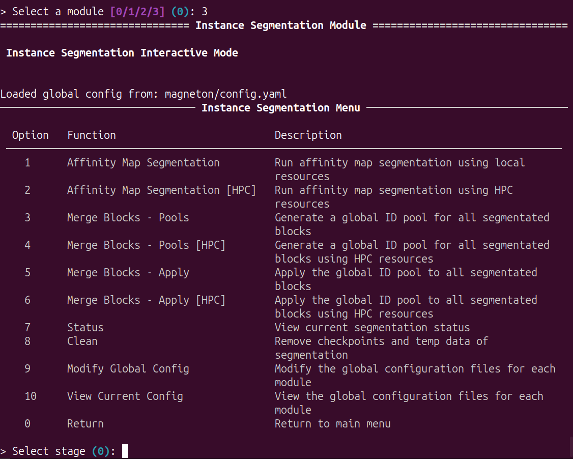 instance segmentation module